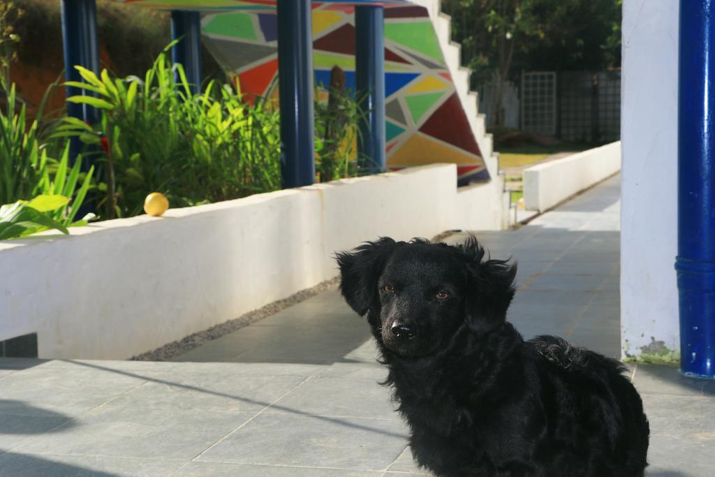 Cristama Residence Inn Ubatuba